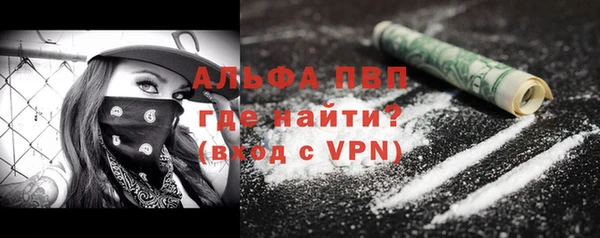 индика Беломорск