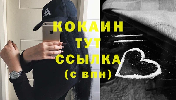 индика Беломорск