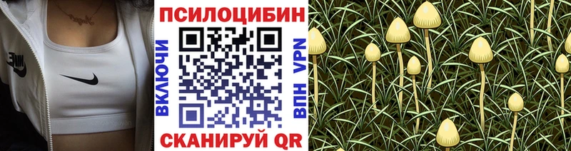 shop как зайти  Кропоткин  Псилоцибиновые грибы Magic Shrooms 