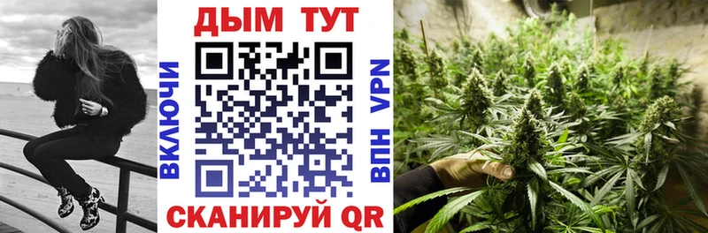 Шишки марихуана VHQ  дарнет шоп  Кропоткин 